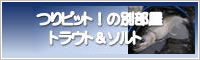 つりピット！