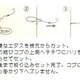 カツイチ　エダ鈎プラス　ファイバー付